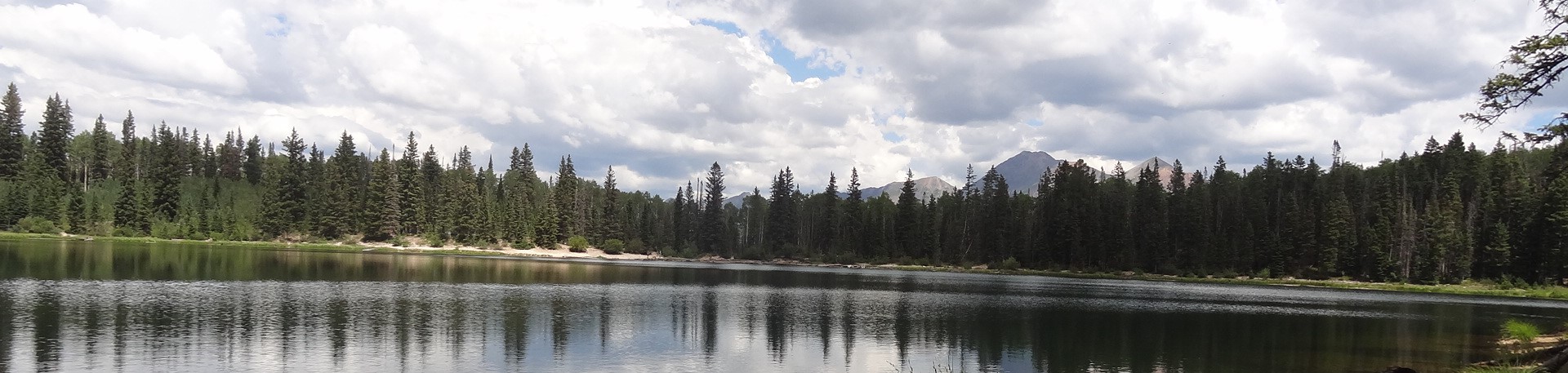 llake crop