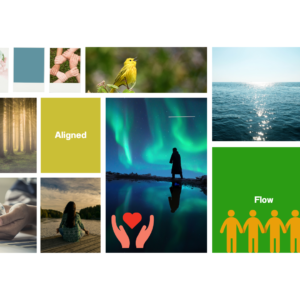 Money Freedom Course